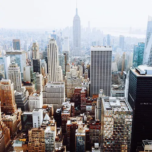 Life Chronicles VR Experience: A History of Life nyc